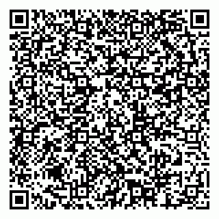 vCard 79201002717
