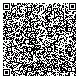 vCard 79201002729