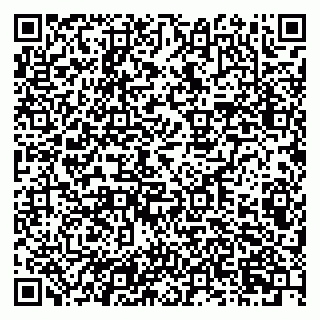 vCard 79201002733