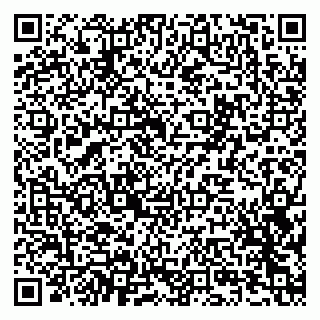 vCard 79201002739