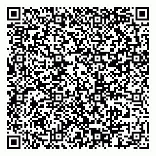 vCard 79201002771