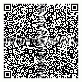vCard 79201003008