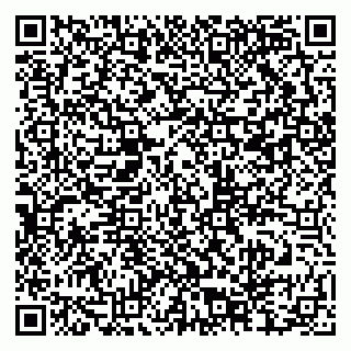vCard 79201004027