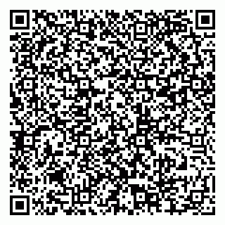 vCard 79201004029