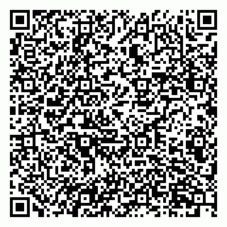 vCard 79201004033
