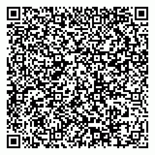 vCard 79201004133