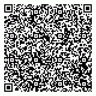vCard 79201004163