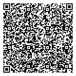 vCard 79201004173