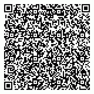 vCard 79201004177