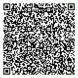 vCard 79201004239