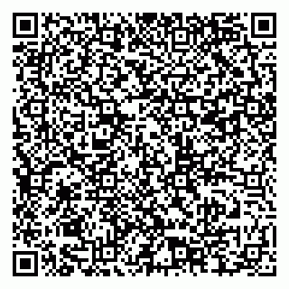 vCard 79201004249