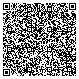 vCard 79201004261