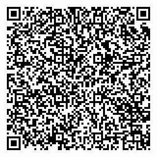 vCard 79201004273