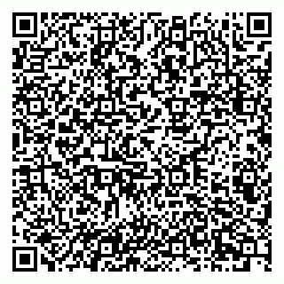 vCard 79201004285