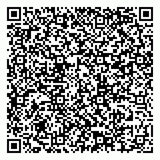 vCard 79201004287