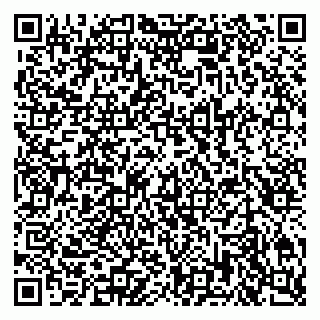 vCard 79201004295