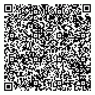 vCard 79201004299