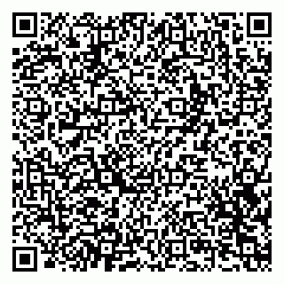 vCard 79201004333