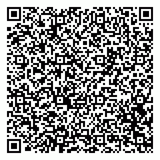 vCard 79201004339