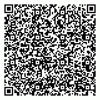 vCard 79201004353