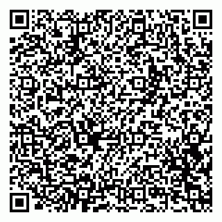vCard 79201004393