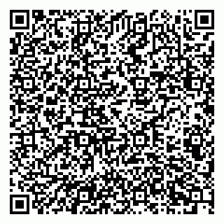 vCard 79201101384