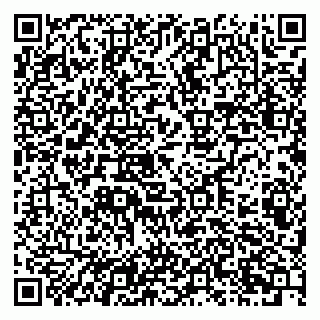 vCard 79201103217