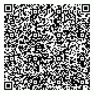 vCard 79201103239