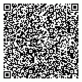 vCard 79201103271