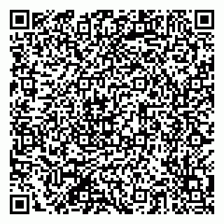 vCard 79201103285