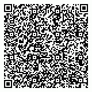 vCard 79201103293