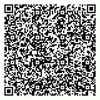vCard 79201103295