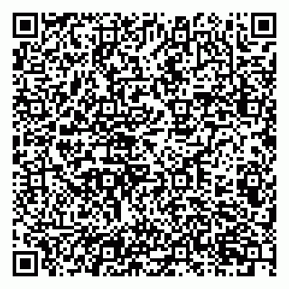 vCard 79201103303