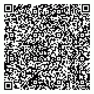 vCard 79201103333