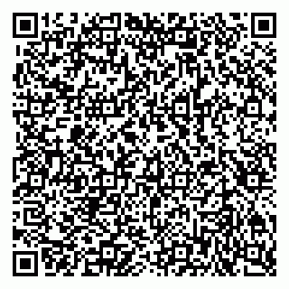 vCard 79201103378