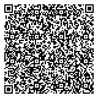 vCard 79201103381