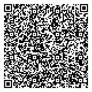 vCard 79201103410