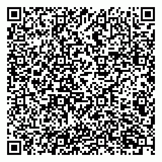vCard 79201103413