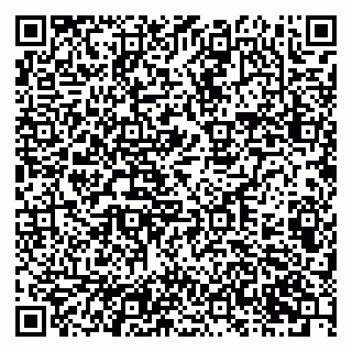 vCard 79201103508