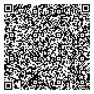 vCard 79201103511