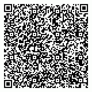 vCard 79201103530