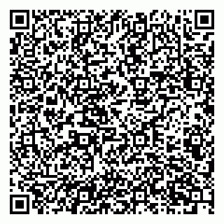 vCard 79201103541
