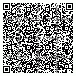 vCard 79201104031
