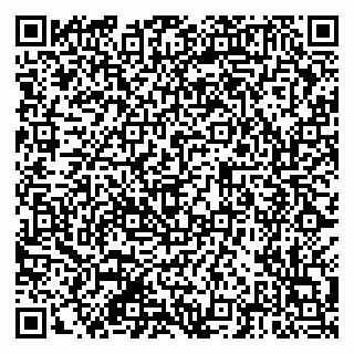 vCard 79201104033
