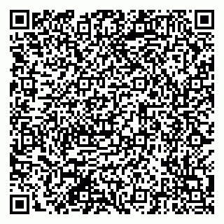 vCard 79201104037