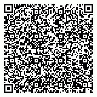vCard 79201104039