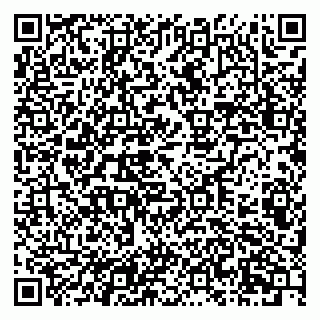vCard 79201104041