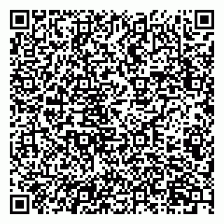 vCard 79201104073