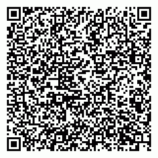 vCard 79201104088