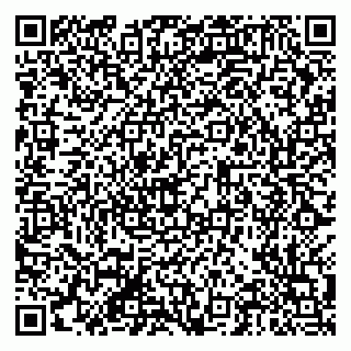 vCard 79201104095